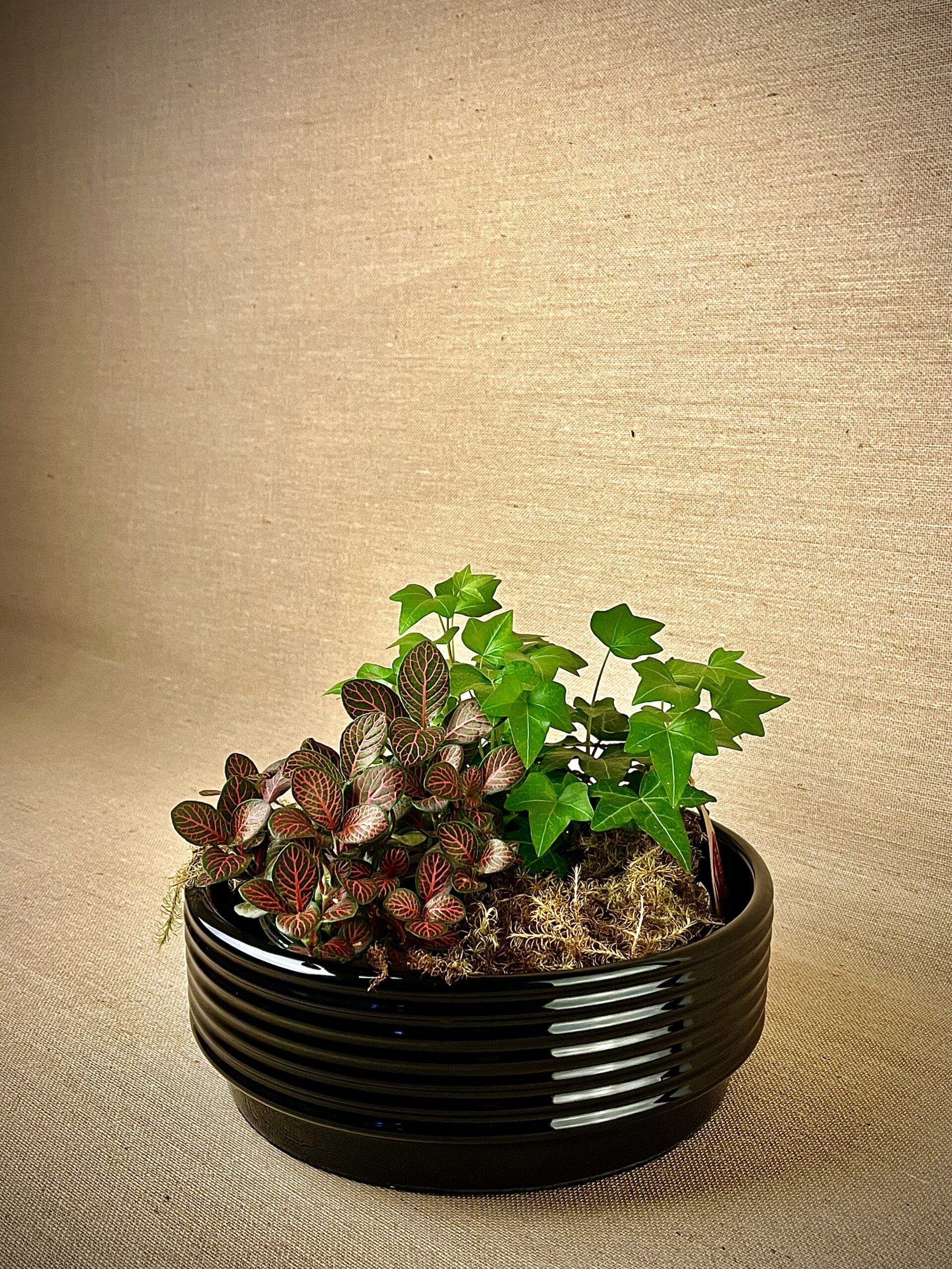 Cachepô de Cerâmica Esmaltada Cuia Canelada Preta - Imagem 7