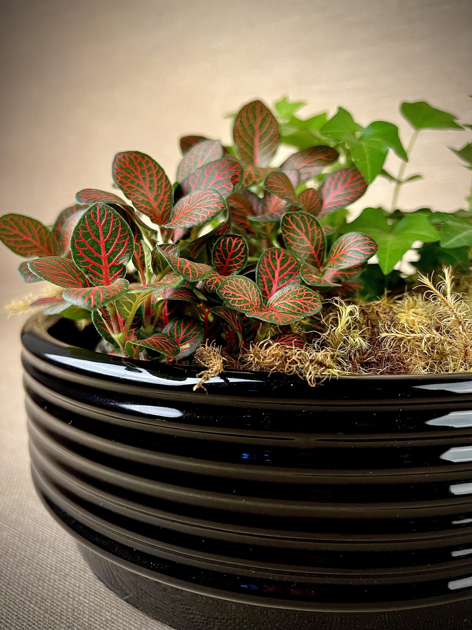 Cachepô de Cerâmica Esmaltada Cuia Canelada Preta - Imagem 5