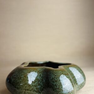 Cachepô Cuia M Verde Aladim Waves
