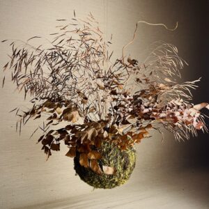 Kokedama Arranjo Preservado G